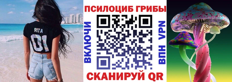 Галлюциногенные грибы Psilocybe  Новоаннинский 